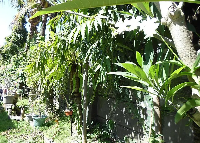 Bali Aman Darling House