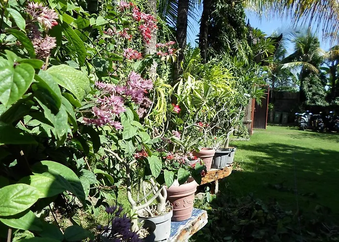 Bali Aman Darling House Canggu