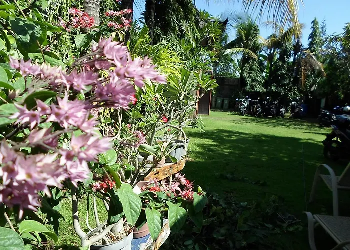 Konukevi Bali Aman Darling House Canggu