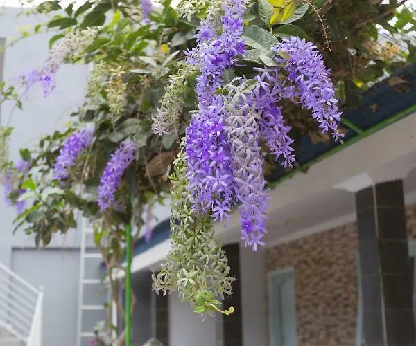 Bali Aman Darling House 3*